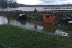 March 2019 - Poor chickens - never seen the river break the banks before